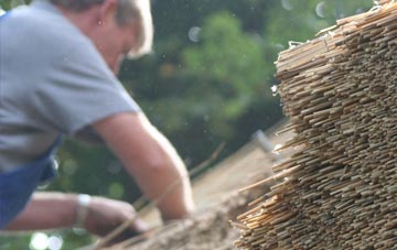 professional Higher Menadew thatchers